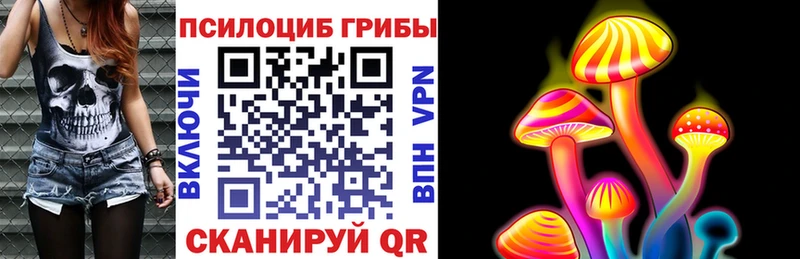 OMG ONION  Ленск  Галлюциногенные грибы Cubensis 